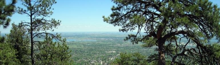 "Meet LuvByrd, the most Colorado-y dating site of all time" Rooster Magazine!