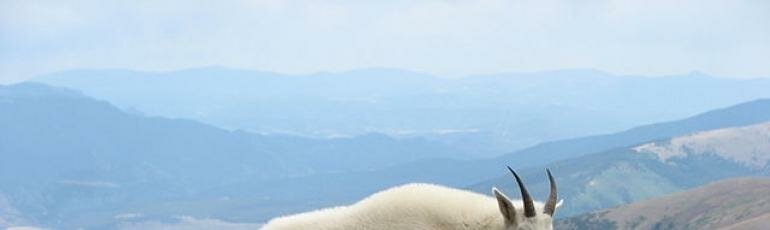 5 Easiest 14ers in Colorado!