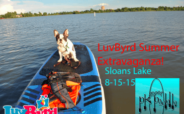 LUVBYRD SUMMER EXTRAVAGANZA!