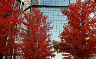 College Graduates Are Moving To Denver, Colorado